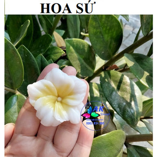 Khuôn silicon hoa sứ / 2506.087