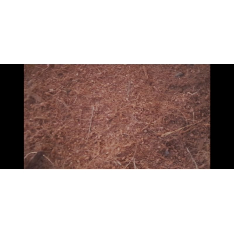 1kg Mùn xơ dừa đã qua xử lý phù hợp trồng cây cảnh, hoa màu