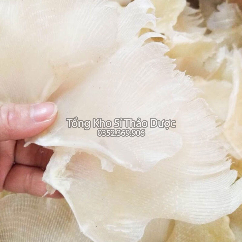 Vi cá mập nguyên miếng 100g