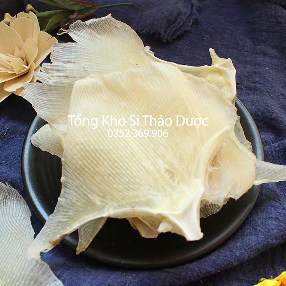 Vi cá mập nguyên miếng 100g