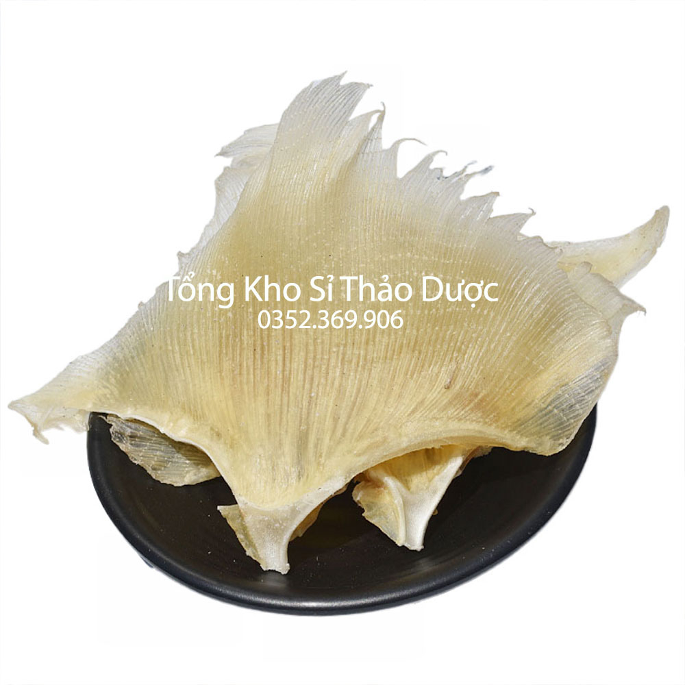 Vi cá mập nguyên miếng 100g