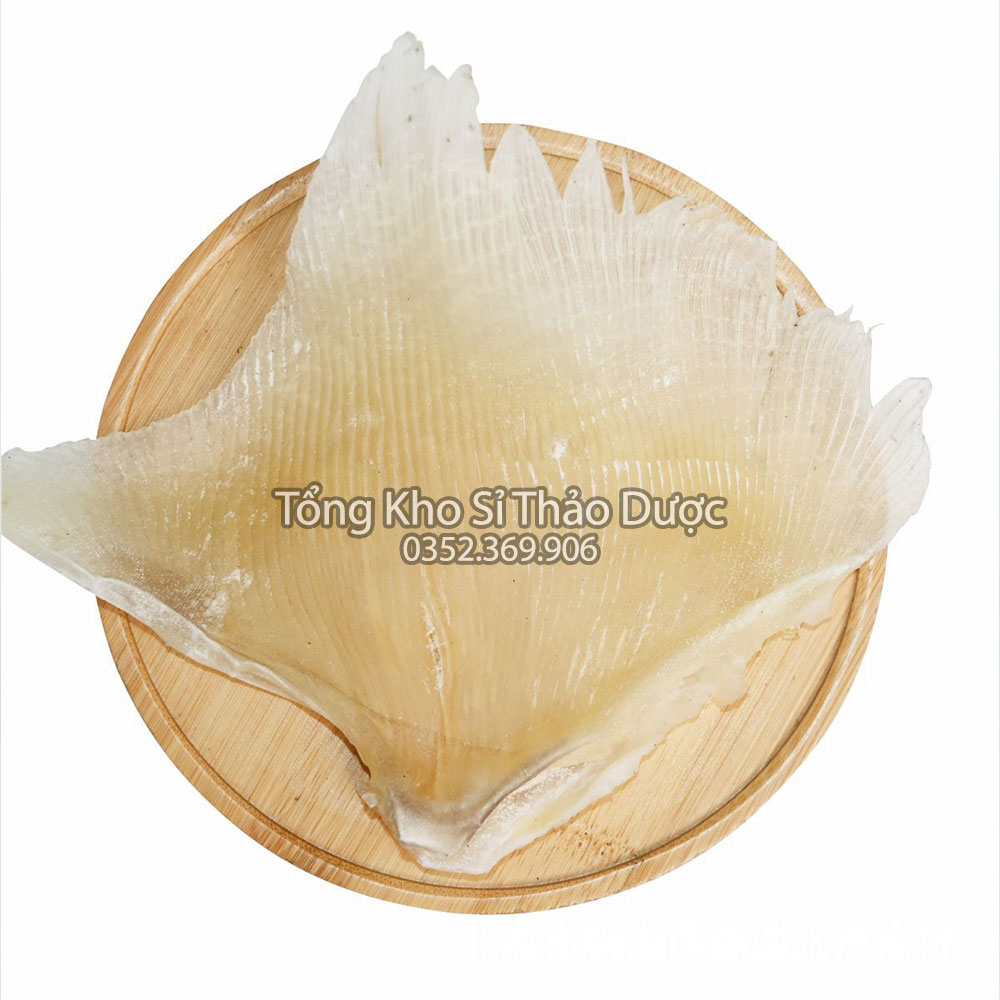 Vi cá mập nguyên miếng 100g