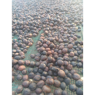 Cà phê bột xay nguyên chất, cafe bột Robusta rang mộc 1kg