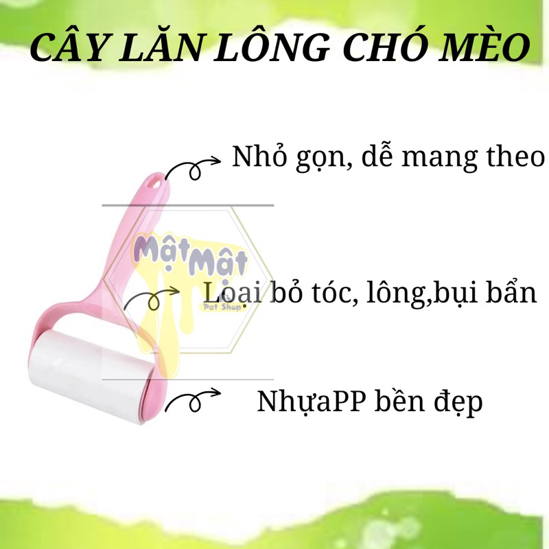 Cây lăn lông, bụi chó mèo