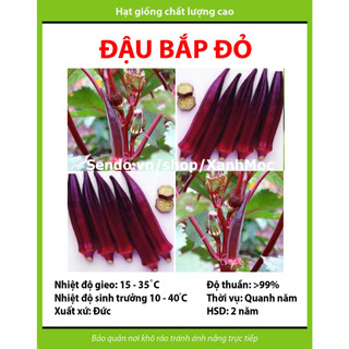 Hạt giống Đậu bắp đỏ tặng kèm kích mầm