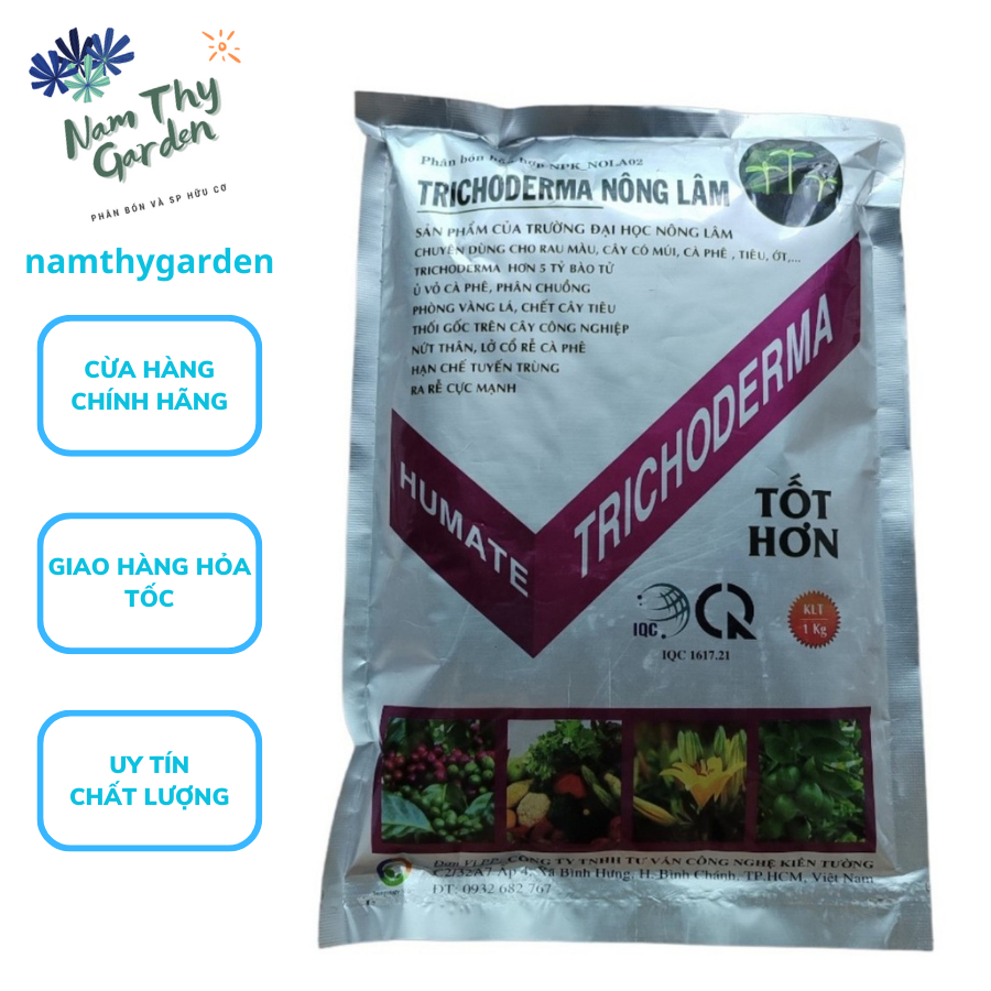 Trichoderma sản phẩm của Đại học Nông Lâm giúp phòng bệnh trực tiếp cho cây, xử lý phân bón