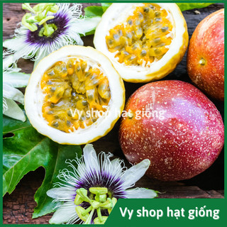 Hạt giống chanh leo vỏ tím gói 10 hạt