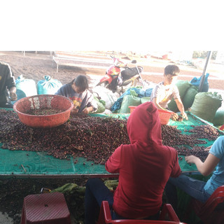 Cà phê bột nguyên chất, cafe bột Robusta rang mộc 200g
