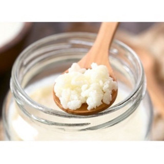 Nấm Sữa Chua Kefir / Con Men Làm Sữa Chua Tại Nhà Cực Đơn Giản
