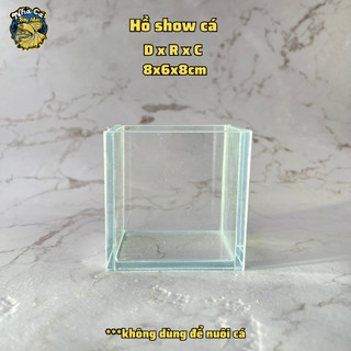 Hồ show cá mini, kính 5 li siêu trong 8x6x8cm