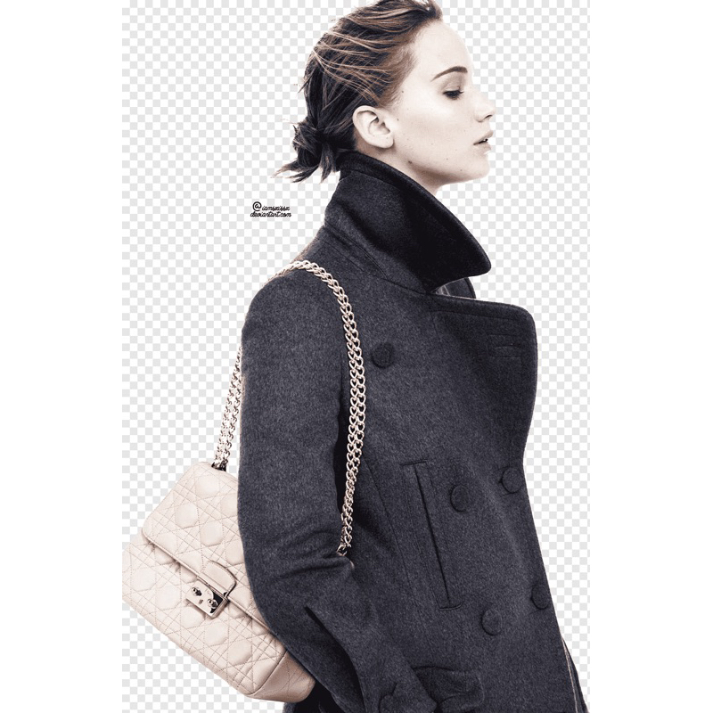 Túi si da thật hiệu Dior