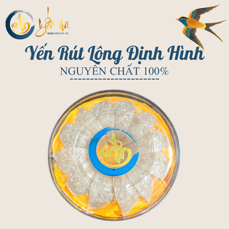 Tổ Yến Rút Lông Định Hình Chuẩn Xuất Khẩu Hộp 50gr, 100gr, Cao Cấp, Bổ Dưỡng