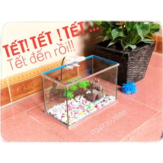 Bể cá cảnh mini 30*15*18cm viền gương sang trọng chơi Tết
