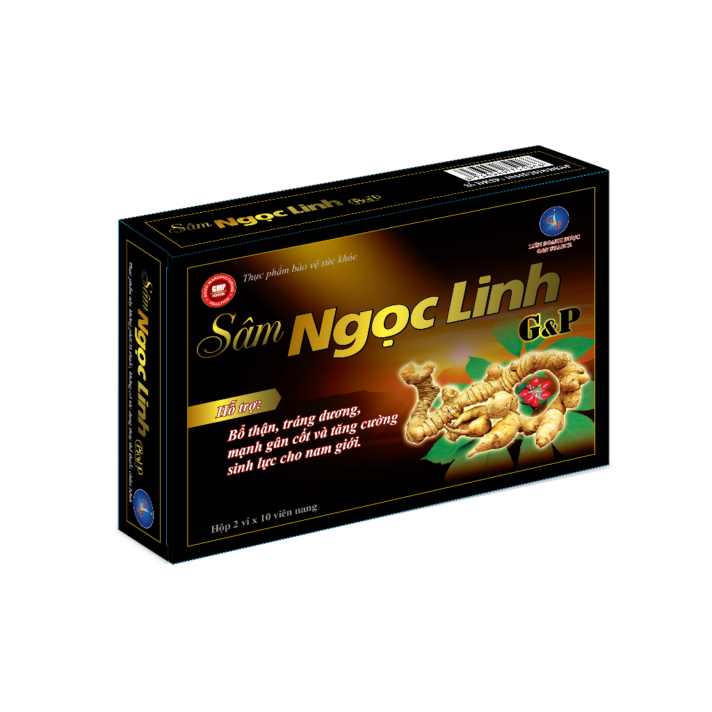 SÂM NGỌC LINH G&P