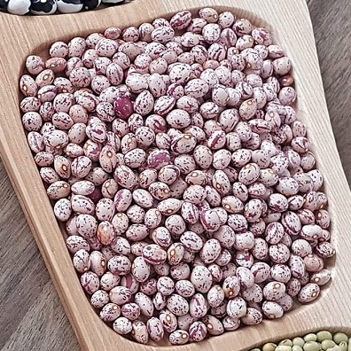 500Gr Hạt Đậu Cúc Sống Chế Biến Món Ăn