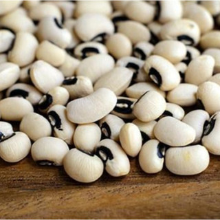 Hạt đậu trắng mắt cua hạt nhỏ sống