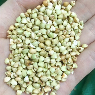 500gr nhân hạt kiều mạch, sạch vỏ sống