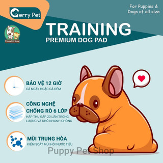 🐶Thảm Lót Vệ Sinh Cho Cún Gerry và Thảm Lót Vệ Sinh Cho Cún Honey At Home 🐶