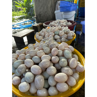 Combo 2 túi lòng đỏ trứng muối maruko Ủ TRO ( Size 13g)