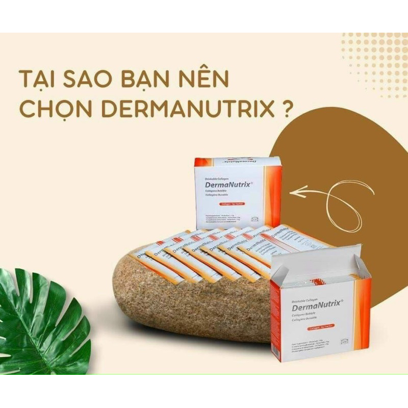 CHÍNH HÃNG | Gel Collagen DermaNutrix Thụy Sĩ, Bí Quyết Chống Lão Hóa Và Gìn Giữ Thanh Xuân - Hộp 14 Gói