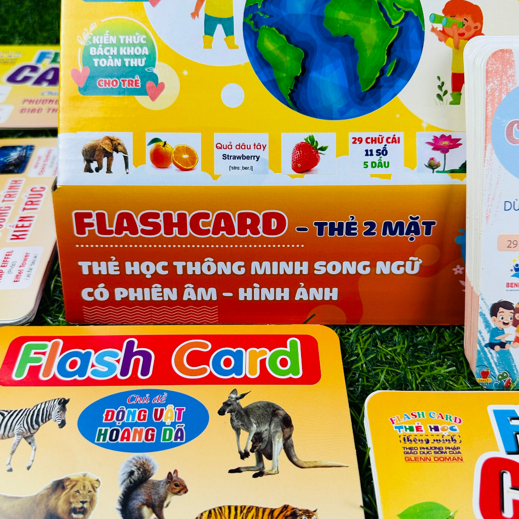 Flashcard Cho Bé - Bộ Thẻ Học Thông Minh Glenn Doman Thế Giới Xung Quanh Giáo Dục Sớm Cho Bé