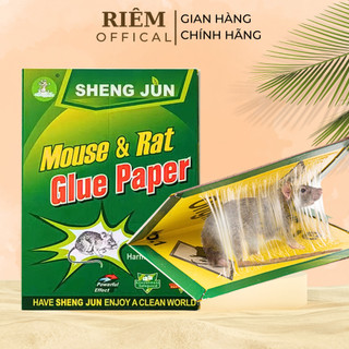 Keo Dính Chuột Siêu Dính 30cm x 21cm An Toàn Dể Sử Dụng Tiện Lợi RIEM