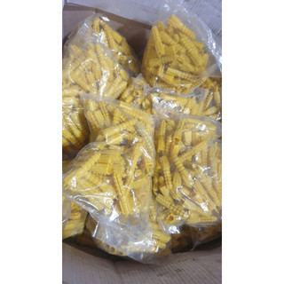 Nở vàng, tắc kê vàng