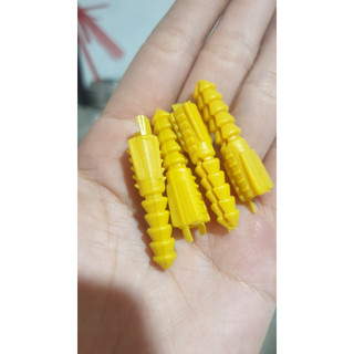 Nở vàng, tắc kê vàng