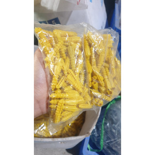 Nở vàng, tắc kê vàng