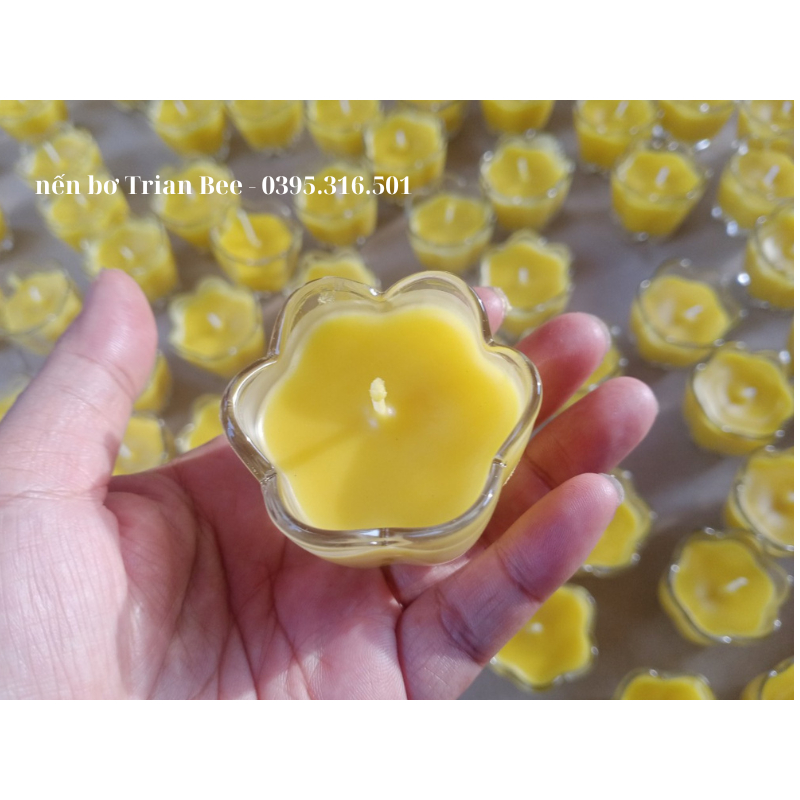 Hộp nến bơ Trian Bee - hộp 12 ly nến bơ thực vật, ly hoa mai