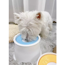 Bát uống nước chống tràn cho chó/ cún