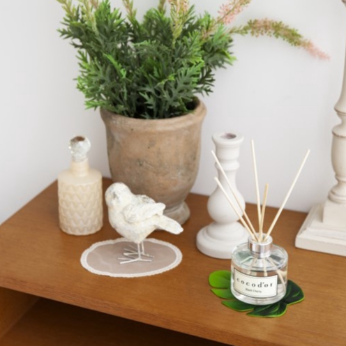 Tinh dầu tán hương Cocodor tropical diffuser 200ml thơm phòng, tỏa hương thư giãn_Mỹ phẩm Hàn Quốc chính hãng