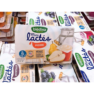 Sữa chua Bledina các vị vỉ 6h×55g - Pháp