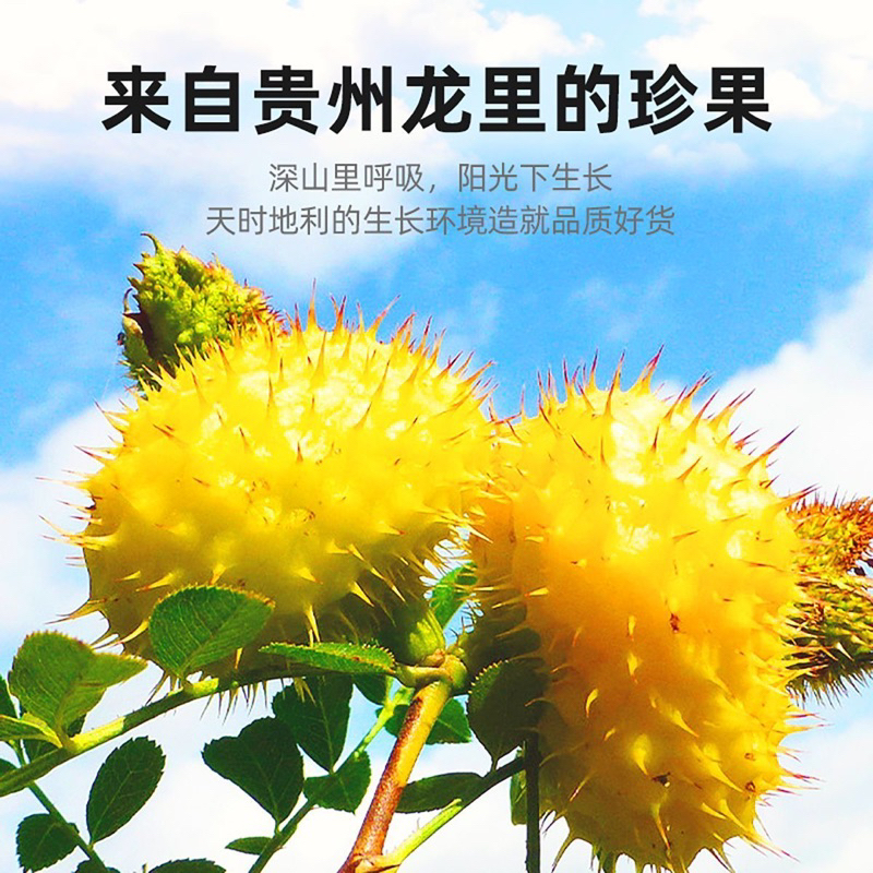 Lê gai sấy khô tự nhiên bố sung vitamin C làm trắng da