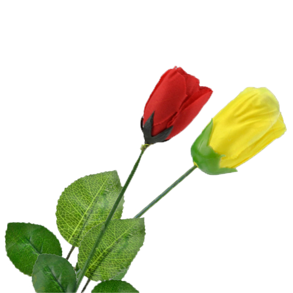 Ảo thuật hoa hồng đổi màu hàng nhập bông ôm sát không rơi khi diễn