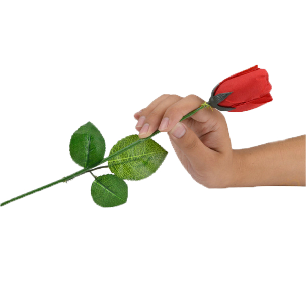 Ảo thuật hoa hồng đổi màu hàng nhập bông ôm sát không rơi khi diễn