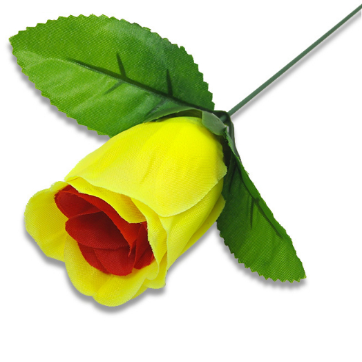 Ảo thuật hoa hồng đổi màu hàng nhập bông ôm sát không rơi khi diễn