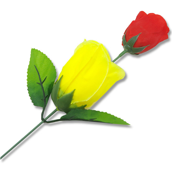 Ảo thuật hoa hồng đổi màu hàng nhập bông ôm sát không rơi khi diễn