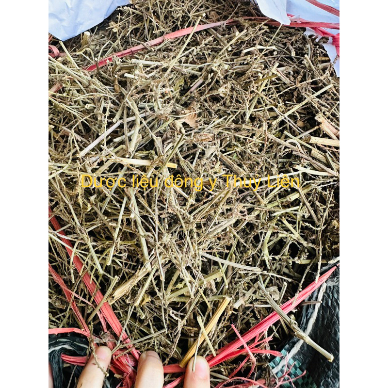 Cỏ Roi Ngựa khô loại 1
