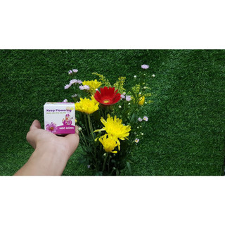 Keep flowering heo bông nước cấm hoa lâu tàn. 1hộp có 9lọ nhỏ