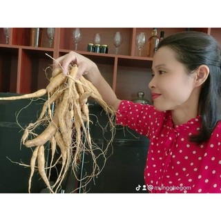 Dầu Gội THẢO MỘC SÂM