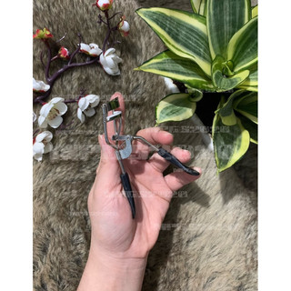 Kẹp bấm mi/Bấm mi cong (thân mỏng)
