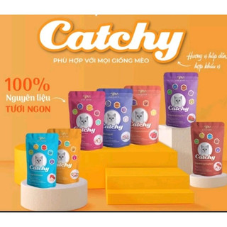 Pate cho mèo 5Plus Catchy gói 70gr