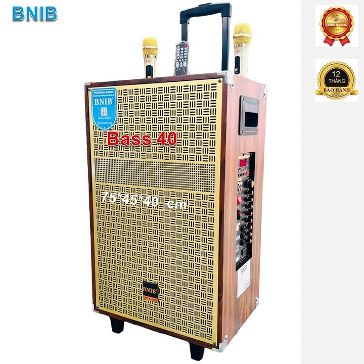 Loa kéo Bluetooth chính hãng BNIB,M15 Bass 40 thùng gỗ có tay kéo và bánh xe,Tặng 2 mic không dây