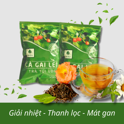 Cà Gai Leo Trà Túi Lọc Gói 500Gr Sadu - [CHÍNH HÃNG] - Cách tốt nhất để bảo vệ gan