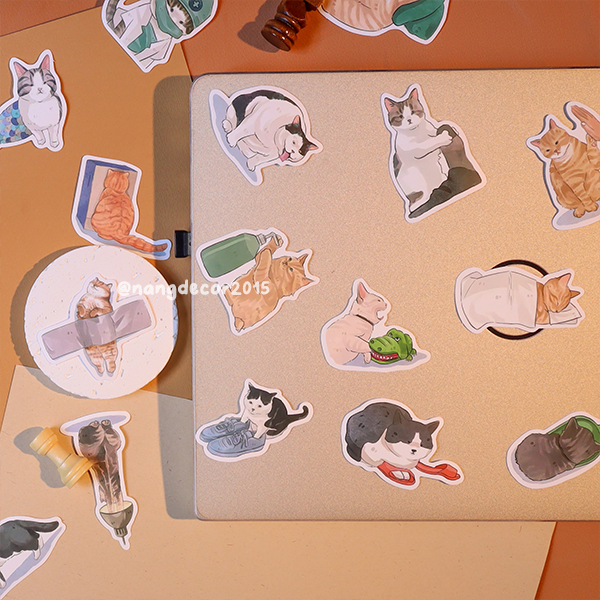 Sticker chống thấm nước | Cat 01 | dán mũ bảo hiểm,laptop, ly bình giữ nhiệt họa tiết dễ thương | Nắng Decor