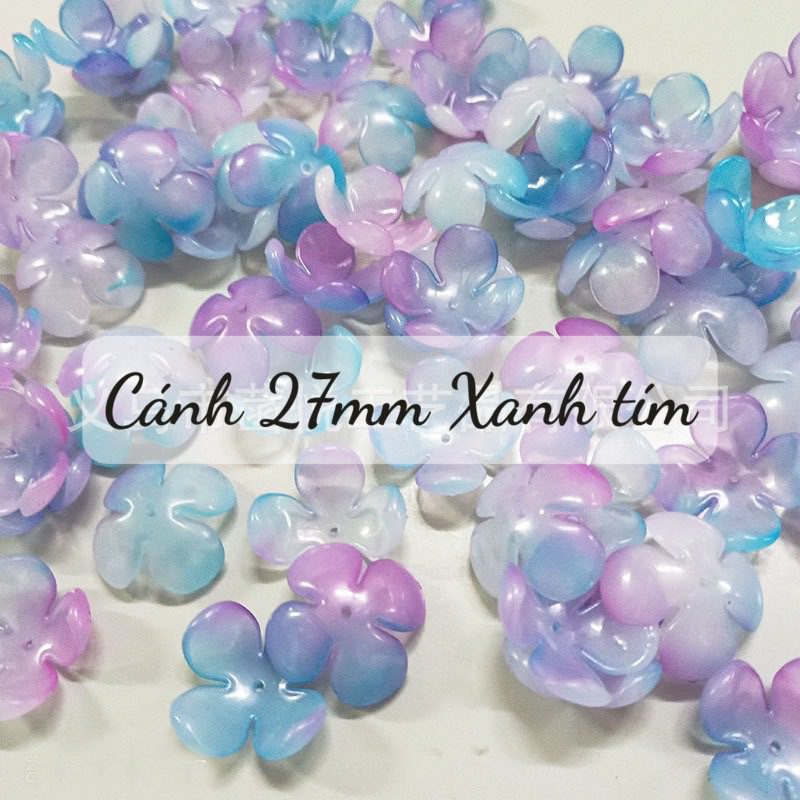Cánh hoa chuyển sắc mới 19mm27mm làm hoa nhựa trang trí, phụ kiện làm hoa handmade 100gr