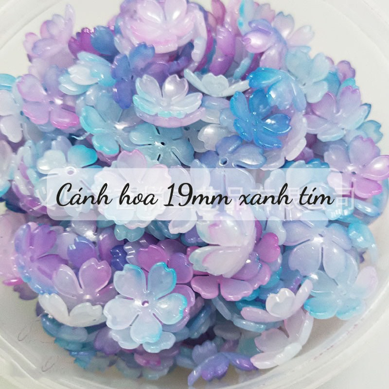 Cánh hoa chuyển sắc mới 19mm27mm làm hoa nhựa trang trí, phụ kiện làm hoa handmade 100gr