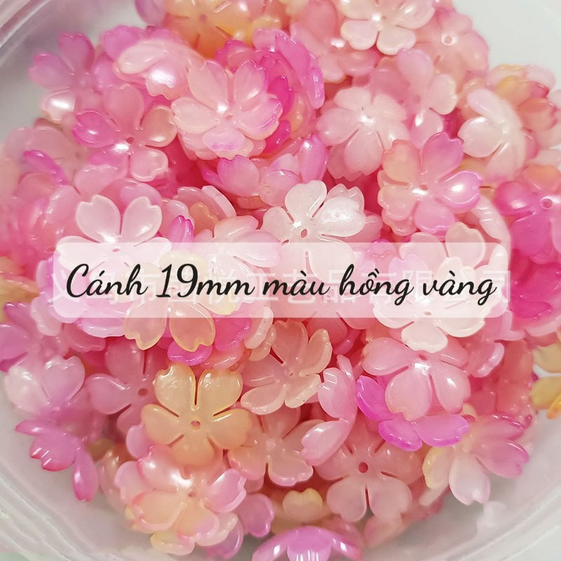 Cánh hoa chuyển sắc mới 19mm27mm làm hoa nhựa trang trí, phụ kiện làm hoa handmade 100gr