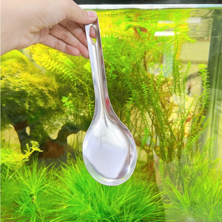 Vá múc cơm, múc canh inox, Vá xơi cơm hình OVAL